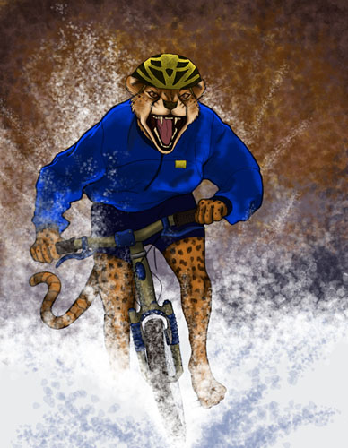 ulsinglespeed_mini copy